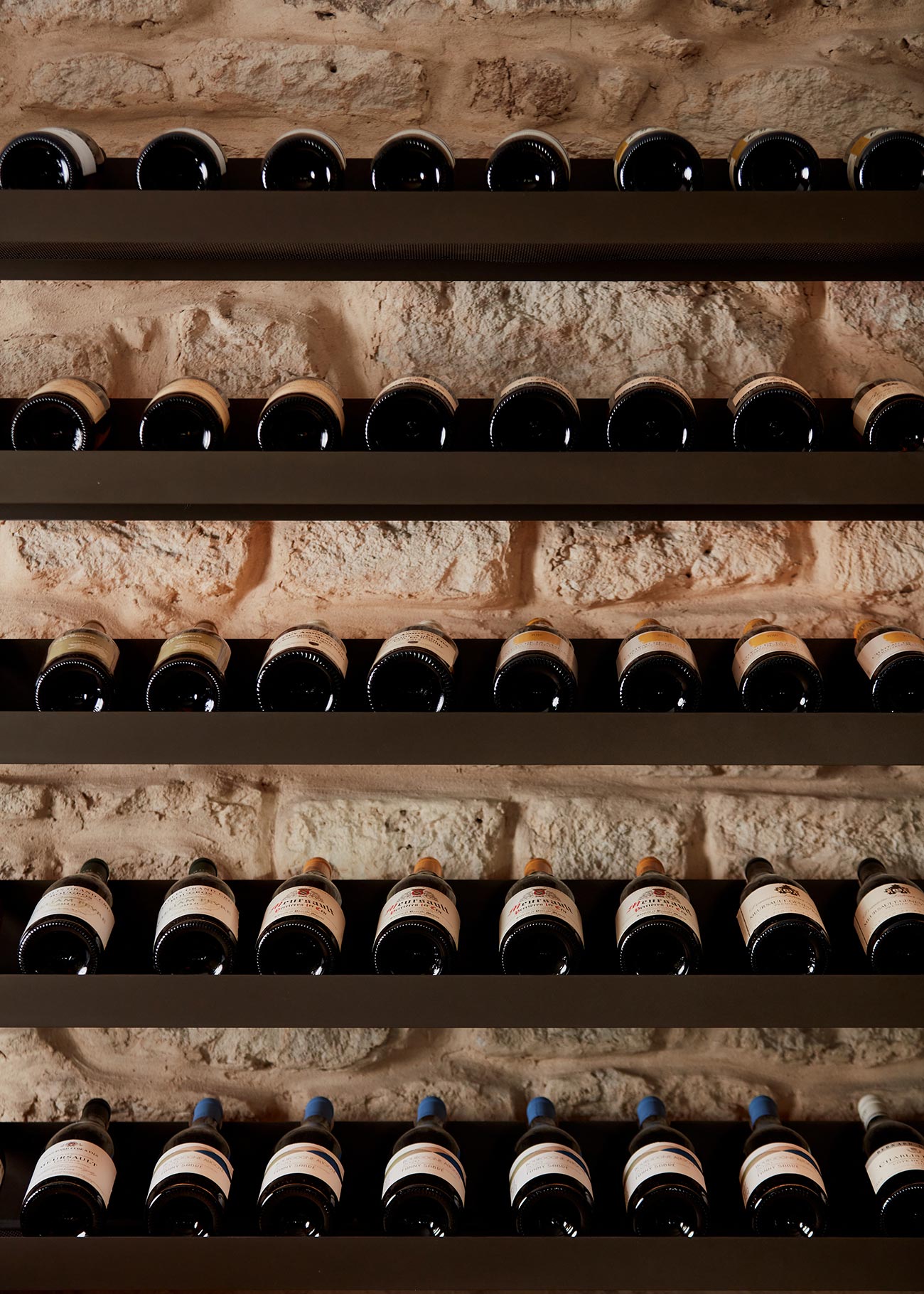 Audreys world of wine